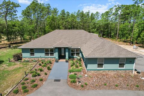 Tiny photo for 8660 SW 137th Court, Dunnellon, FL 34432 (MLS # O6304671)