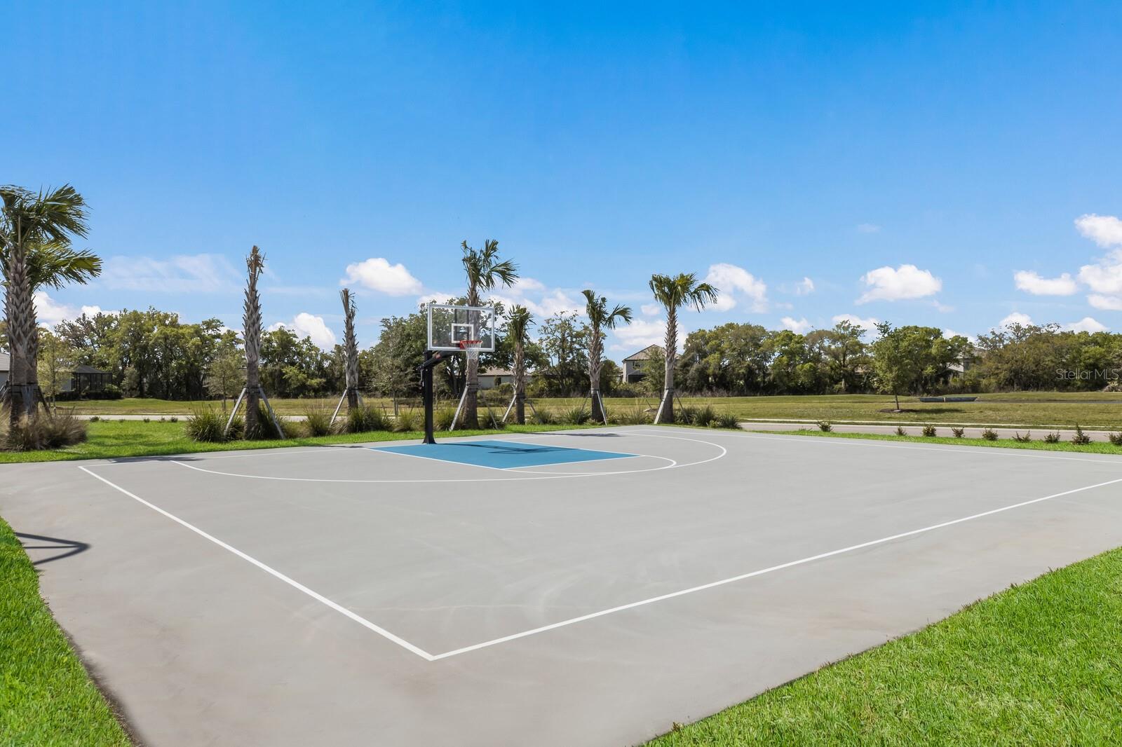 LOT 243, POLO RUN PH IIA & IIB  PI #5816.0155/9 - Residential