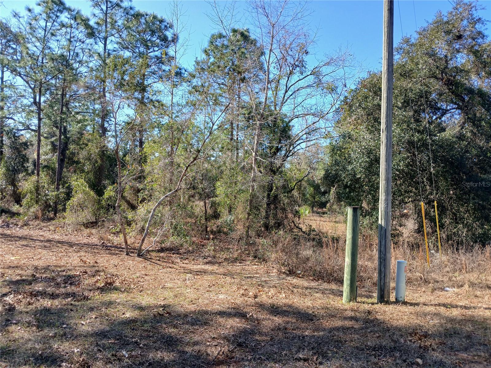 Are you searching for that perfect acre plus sized property in Homosassa? Are you looking to have a new home that does not need a very expensive septic system? Welcome to the end of a private maintained road in Homosassa that is a perfect fit. 1.01 acres of vacant buildable land on a quiet road that is just seconds off the paved roads. Property is located at the end of the road with an electric utility pole near the front corner of the property.