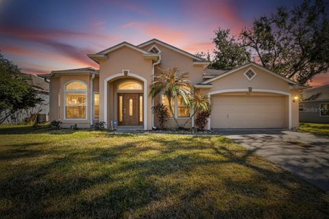 Photo of 3732 Cold Creek Drive, Valrico, FL 33596 (MLS # TB8469000)