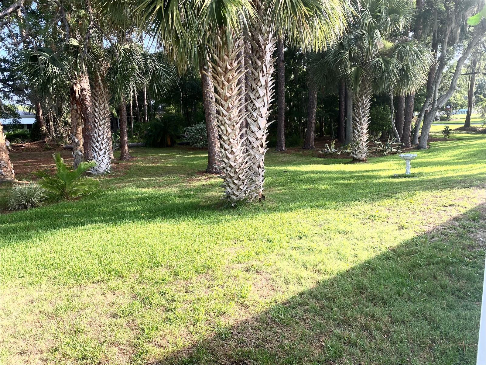 409 WESTWOOD DRIVE