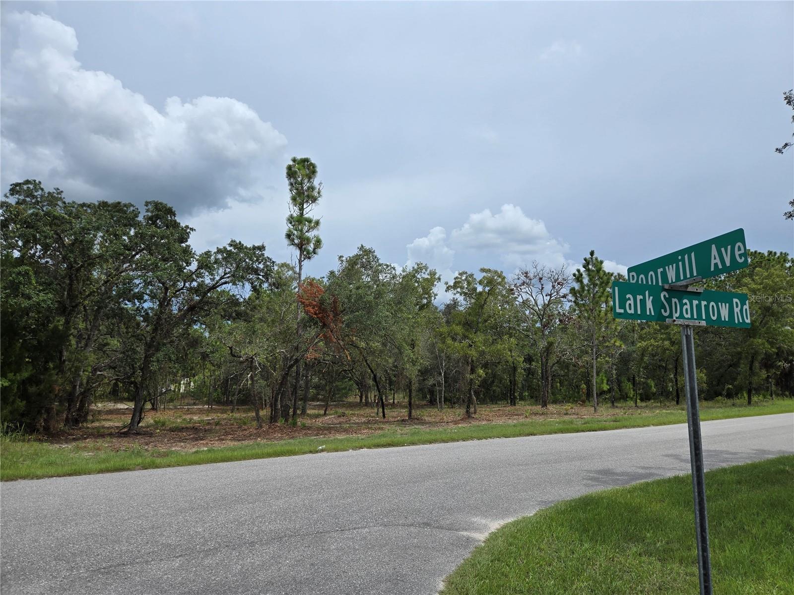 Rare Opportunity in Royal Highlands – Nearly 1.2 Acres on Paved Road!
Welcome to one of the most desirable home sites in Hernando County! This oversized 1.2-acre lot is a rare find in the sought-after community of Royal Highlands. With plenty of space to design your dream estate, you’ll enjoy the freedom to build not only your custom home but still have room for a pool, workshop, RV, boat, additional building, and all your toys.
Nestled on a beautiful paved road and surrounded by well-maintained newer homes, this property offers the perfect mix of privacy and convenience. Whether you’re looking for a peaceful retreat or a place with room to spread out, this is your chance to secure the land you need and the space you’ve been dreaming of.
No HOA. No CDD. Just freedom and opportunity.
Don’t miss this rare chance to own one of the finest lots in Royal Highlands. Perfect setting for your Florida lifestyle surrounded by the flora and fauna that make this one of the most popular neighborhoods on the Nature Coast.