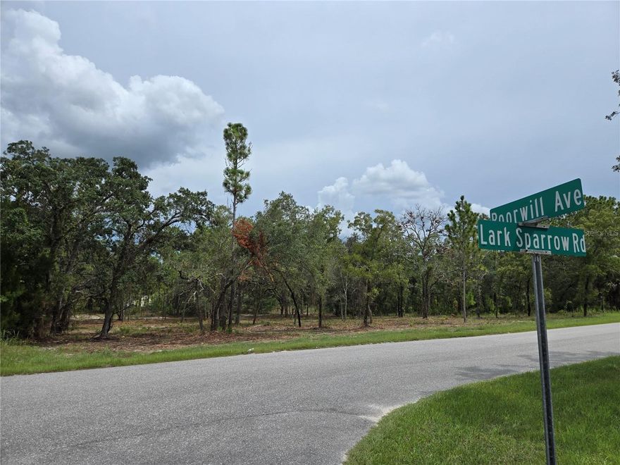 Rare Opportunity in Royal Highlands – Nearly 1.2 Acres on Paved Road!

Welcome to one of the most desirable home sites in Hernando County! This oversized 1.2-acre lot is a rare find in the sought-after community of Royal Highlands. With plenty of space to design your dream estate, you’ll enjoy the freedom to build not only your custom home but still have room for a pool, workshop, RV, boat, additional building, and all your toys.


Nestled on a beautiful paved road and surrounded by well-maintained newer homes, this property offers the perfect mix of privacy and convenience. Whether you’re looking for a peaceful retreat or a place with room to spread out, this is your chance to secure the land you need and the space you’ve been dreaming of.

No HOA. No CDD. Just freedom and opportunity.

Don’t miss this rare chance to own one of the finest lots in Royal Highlands. Perfect setting for your Florida lifestyle surrounded by the flora and fauna that make this one of the most popular neighborhoods on the Nature Coast.