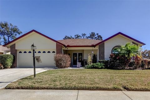 Photo of 4814 Bellemede Boulevard, New Port Richey, FL 34655 (MLS # TB8472866)