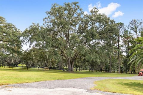 Tiny photo for 8778 NW 130th Street, Reddick, FL 32686 (MLS # OM711630)