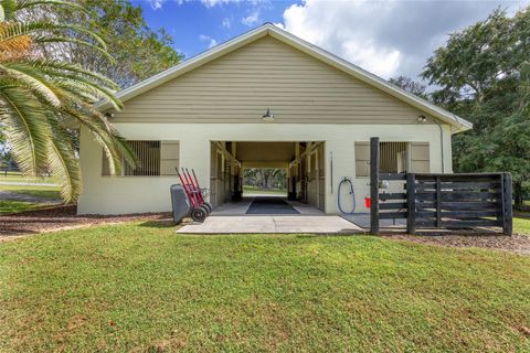 Tiny photo for 8778 NW 130th Street, Reddick, FL 32686 (MLS # OM711630)