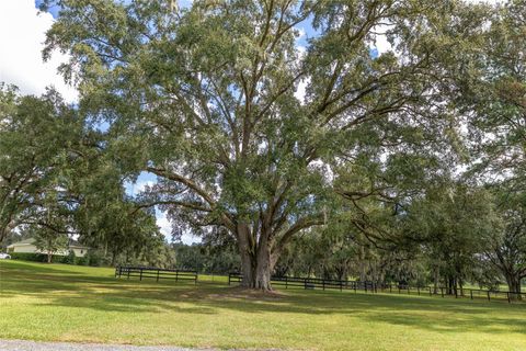 Tiny photo for 8778 NW 130th Street, Reddick, FL 32686 (MLS # OM711630)