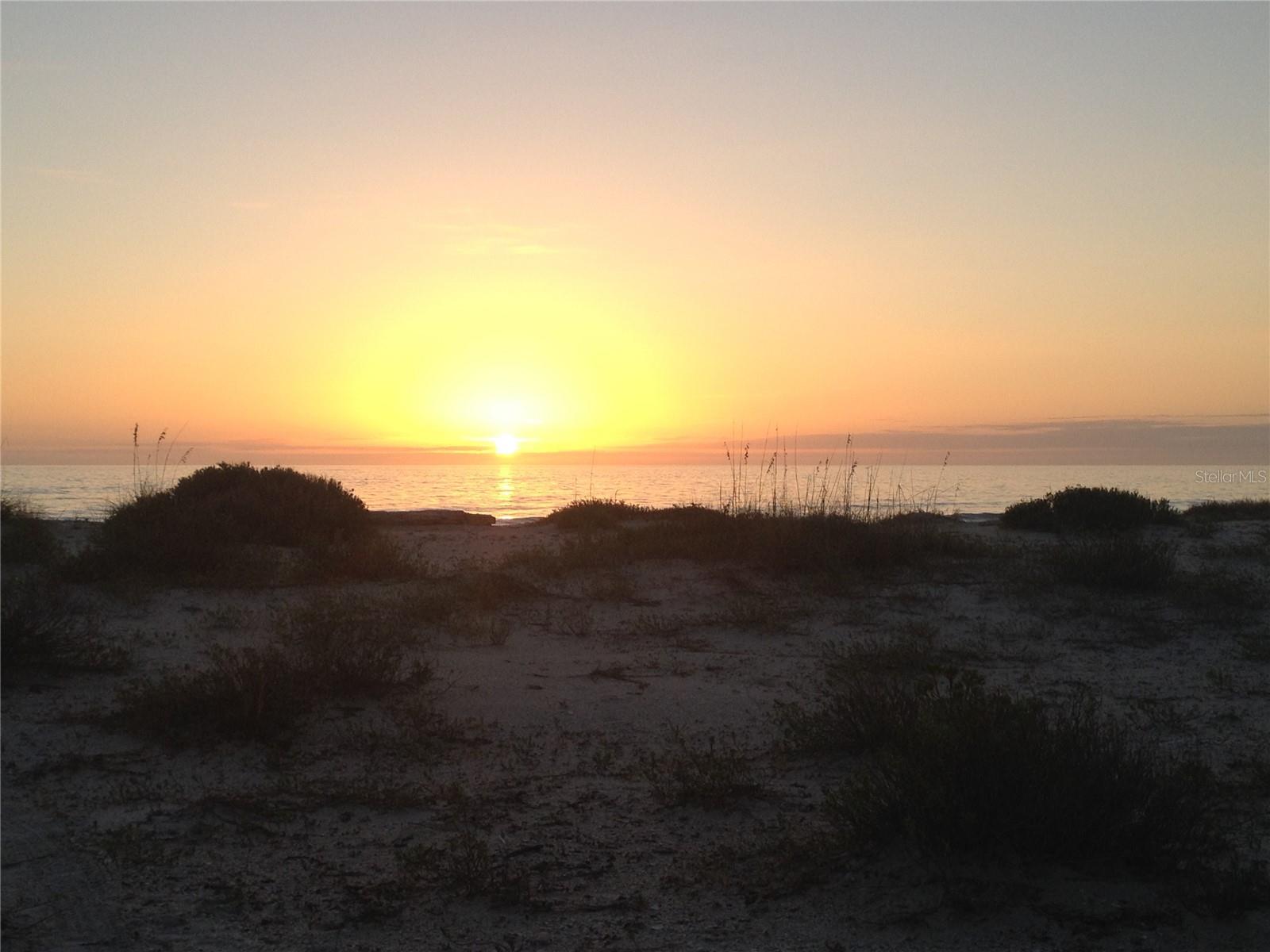 ISLAND HOUSE PH 01 BLDG 02 - Residential