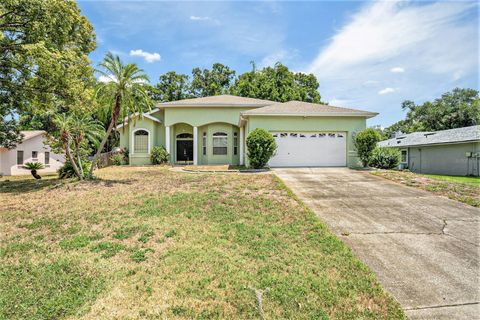 A home in LAND O LAKES