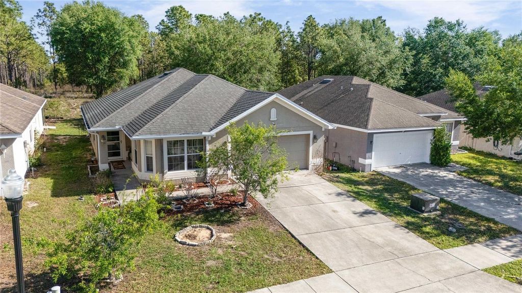 Photo of 31045 Satinleaf Run, Brooksville, FL 34602 (MLS # G5111192)