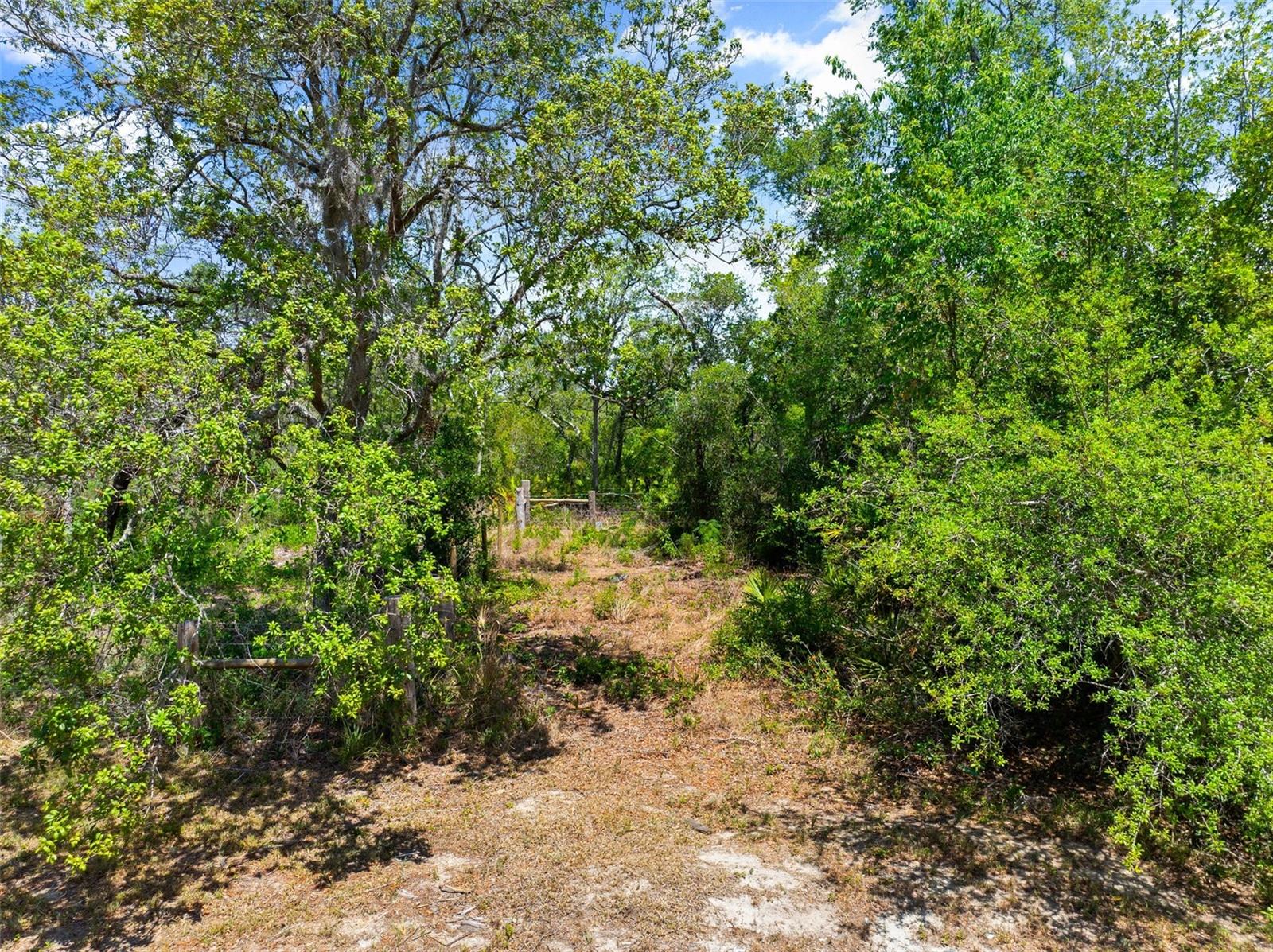 Embrace the peaceful charm of country living on this beautiful 5-acre parcel, newly split from a 40-acre tract and located in unincorporated Lake County, Umatilla. Zoned Agricultural with no HOA, this property offers endless possibilities—ideal for a mini farm, equestrian retreat, or your dream rural estate. Nestled in a quiet, scenic area with open skies and natural beauty, you'll enjoy the slower pace of the countryside while still being just 7 miles from shopping, dining, and everyday conveniences. Umatilla, known as the "Gateway to the Ocala National Forest," is a growing area that appeals to nature lovers, outdoor enthusiasts, and those looking to create a lifestyle rooted in space, freedom, and Florida sunshine.