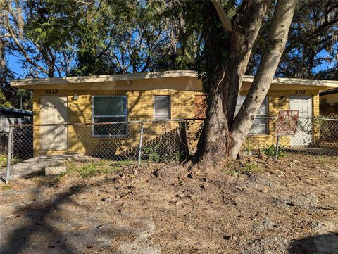 8713 N MANDARINE PLACE TAMPA FL 33617