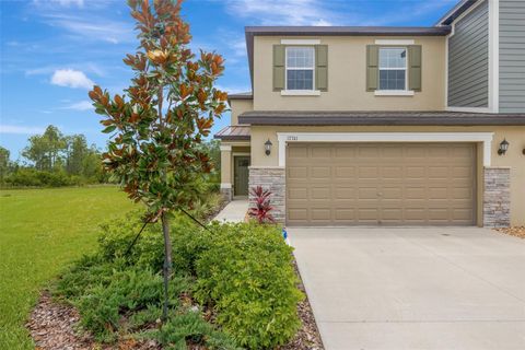 Photo of 17741 Tawny Malt Place, Land O Lakes, FL 34638 (MLS # TB8402565)