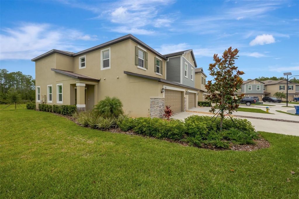 Photo of 17741 Tawny Malt Place, Land O Lakes, FL 34638 (MLS # TB8402565)