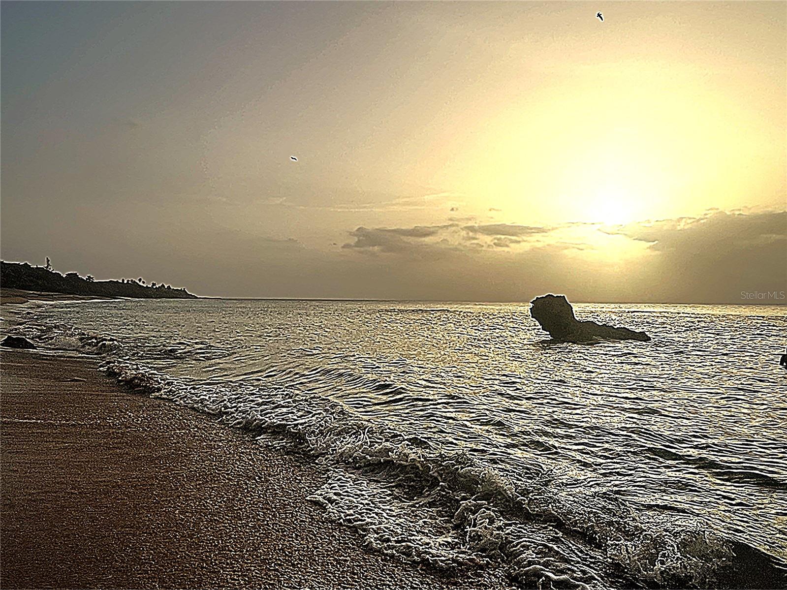 MARBELA CASA DE PLAYA - Residential