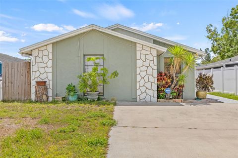 9112 SUFFIELD COURT TAMPA FL 33615
