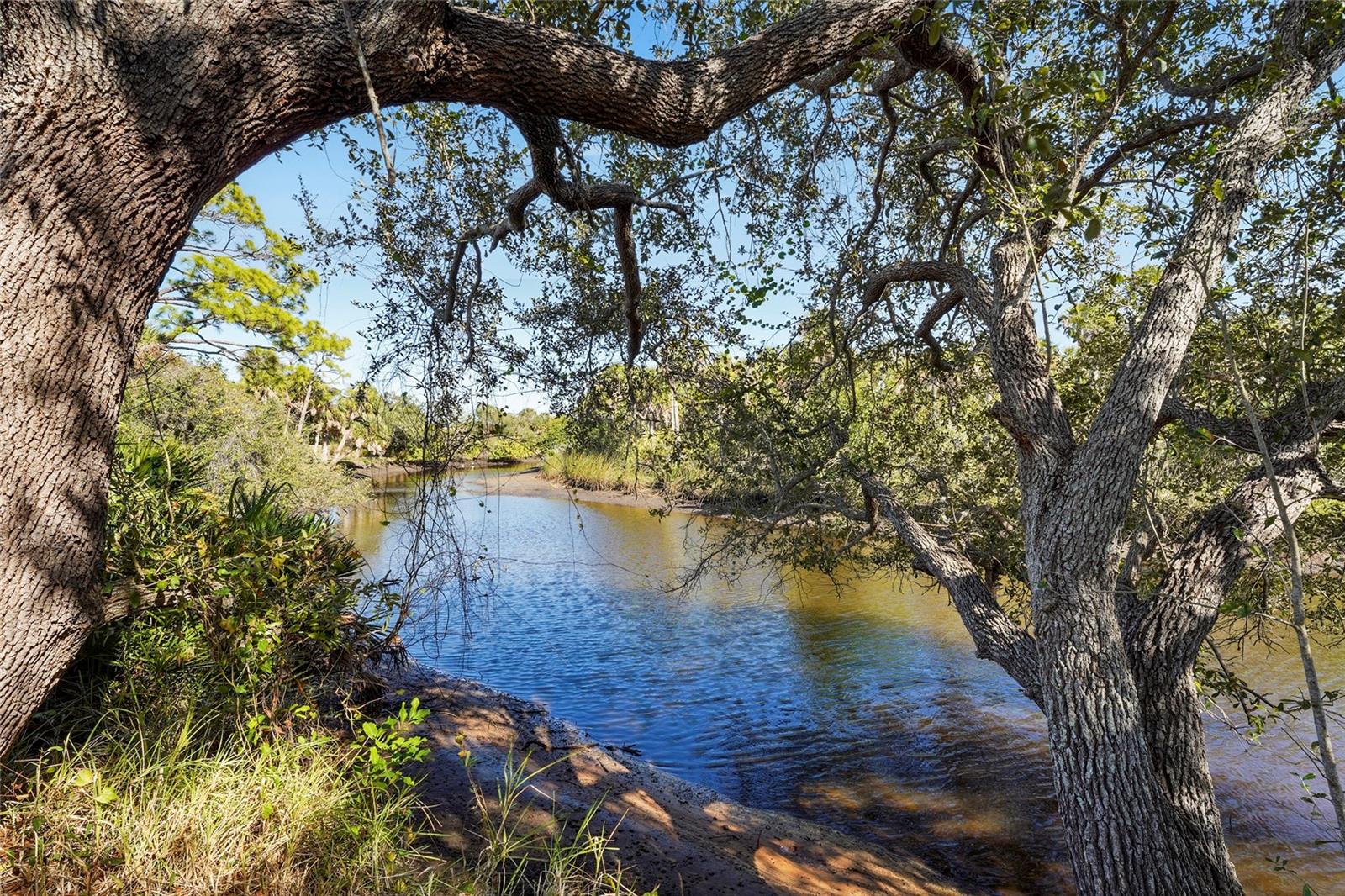 TALON BAY - Residential