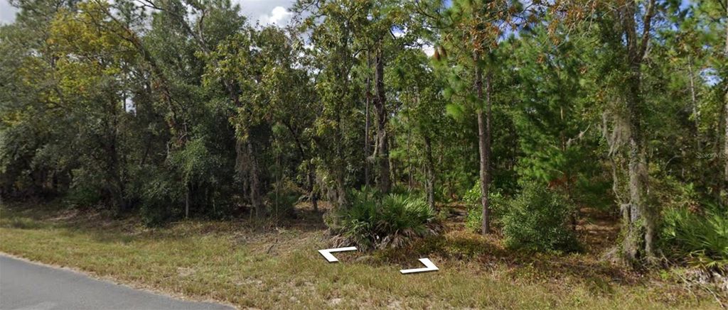 Photo of 129 Christmas Drive, Florahome, FL 32140 (MLS # P4937812)