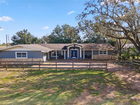 37224 APIARY ROAD GRAND ISLAND FL 32735
