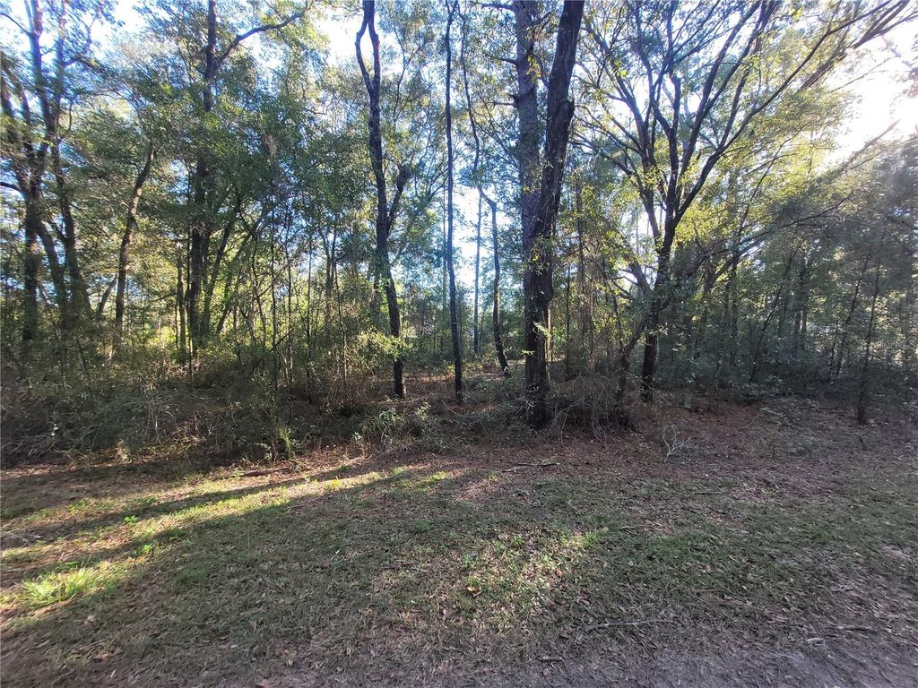 Photo of 0 SW 22nd Place, Ocala, FL 34481 (MLS # W7886115)