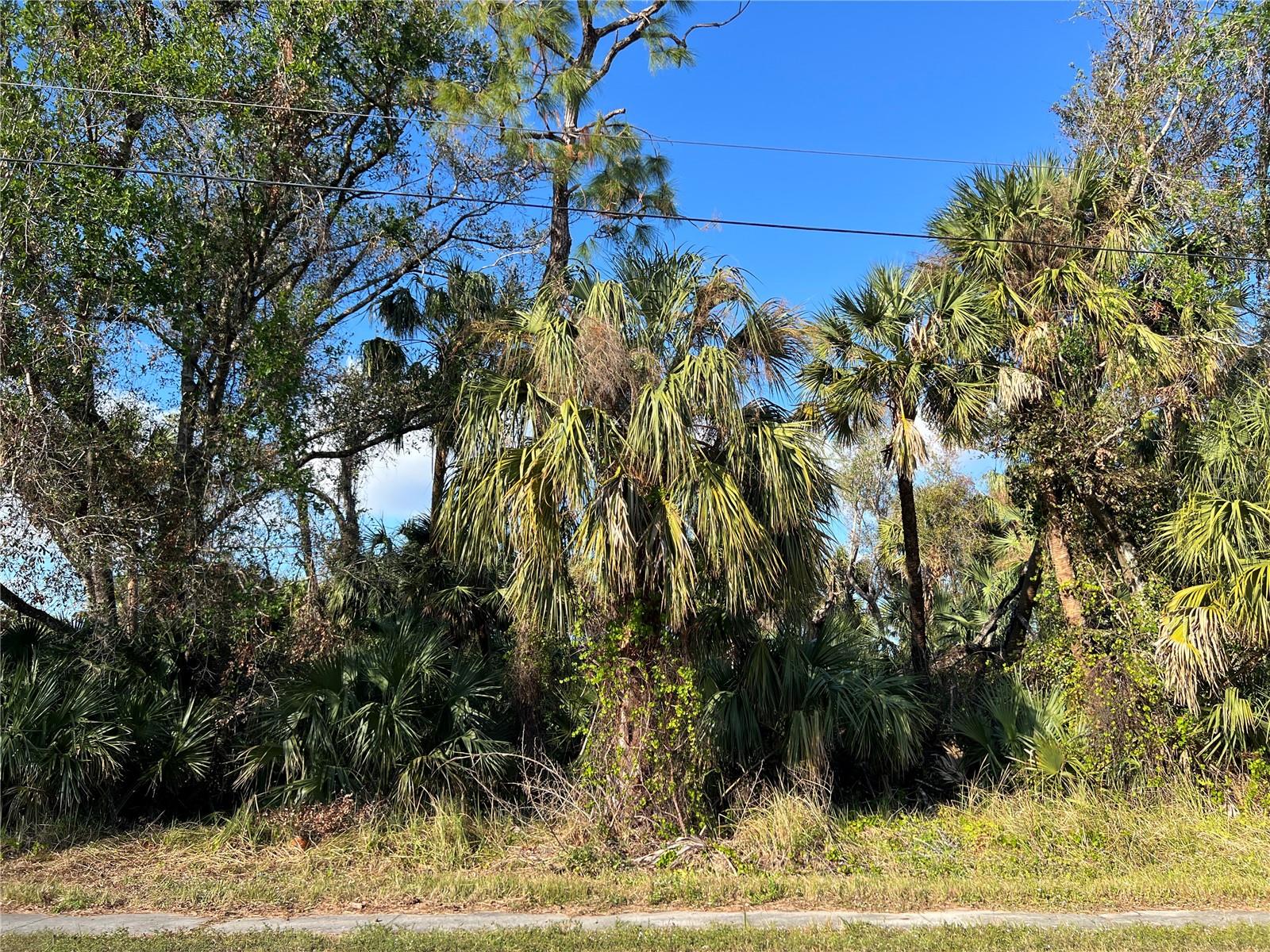 Nice residential lot in North Port for your dream home! Ask me the benefits of building a new home versus buying a resell. This lot is perfect for an up and coming family with an elementary school nearby. You will not be disappointed with this spacious 10,000 square foot lot! Perfect location and only 15 minutes to either US 41 or I-75. North Port is the spring training home for the World Champion Atlanta Braves! Come and see a spring training game for a fun filled day! North Port also has a water park for fun times. North Port is also home to the world famous Warm Mineral Springs! Want to go to the beaches? Venice Island area beaches are 30 minutes to 40 minutes away. Visit Historic Venice downtown for fine dining and shopping! Regional airports are under 1 hour away! Call for more details!