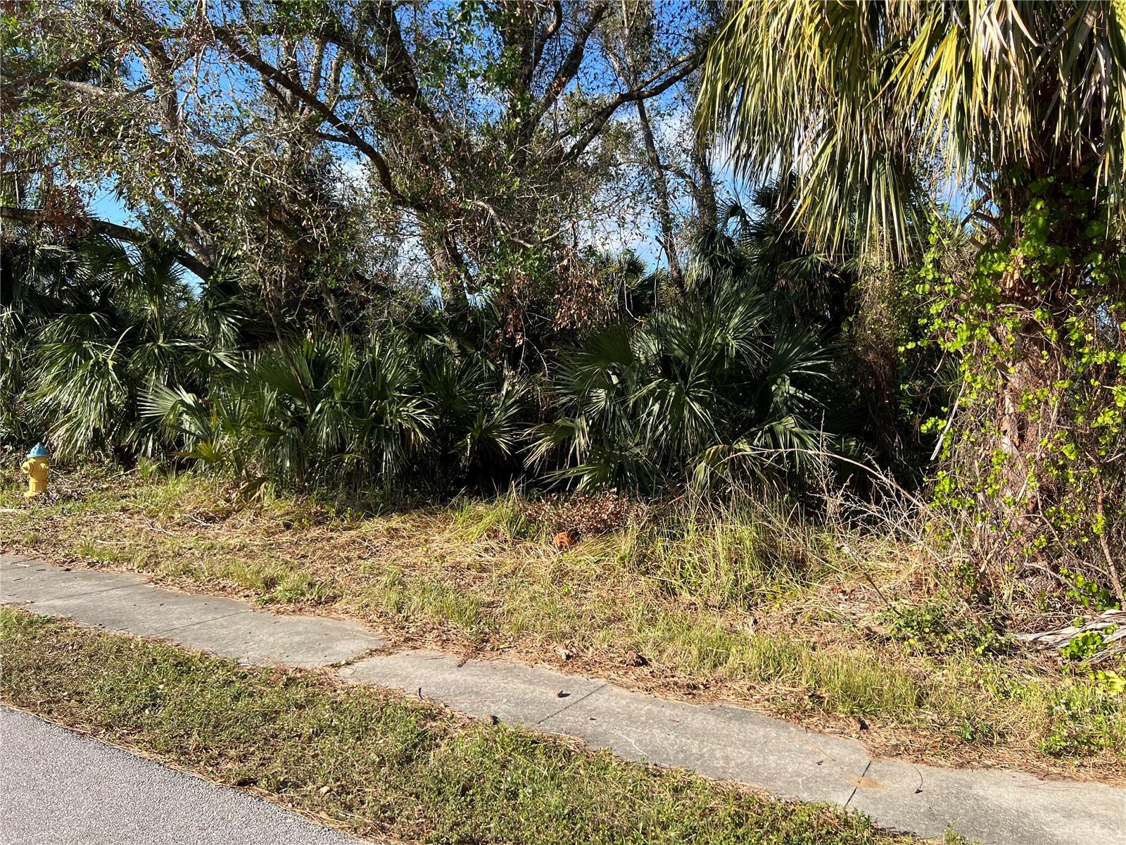 PORT CHARLOTTE SUB 21 - Land