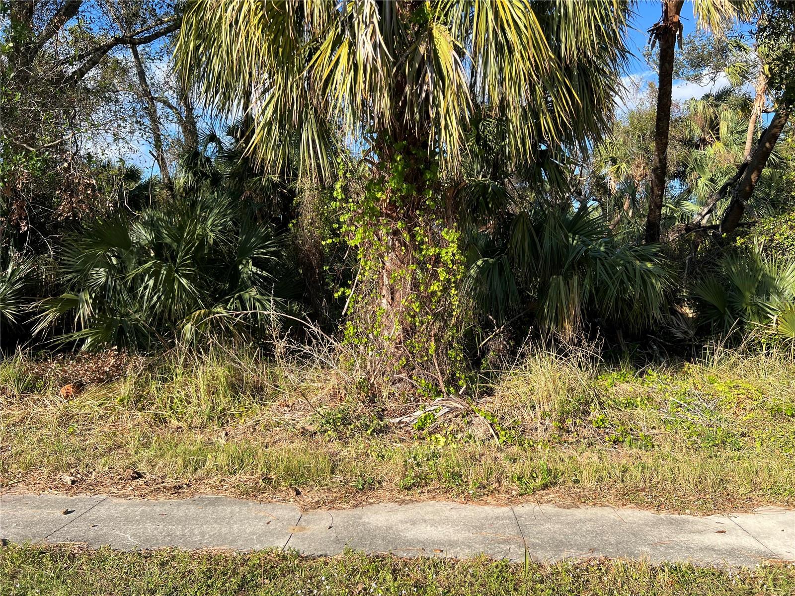 PORT CHARLOTTE SUB 21 - Land