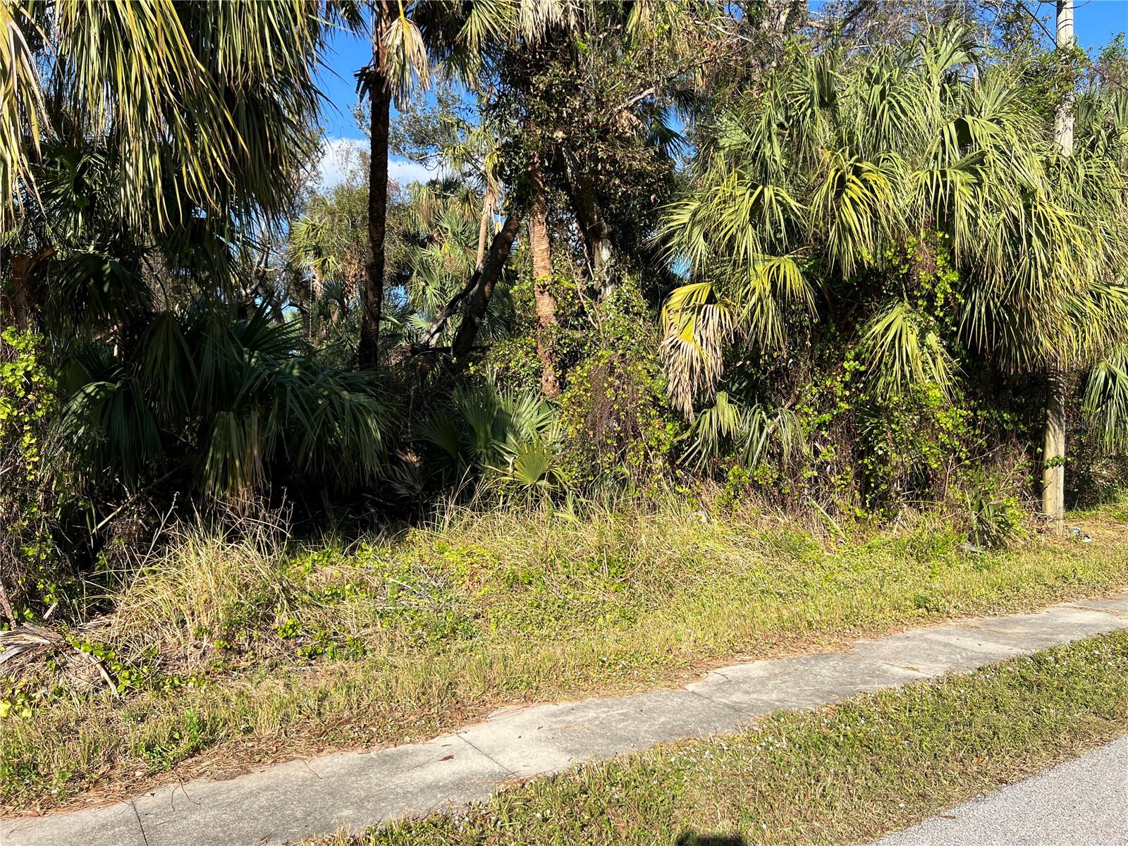 PORT CHARLOTTE SUB 21 - Land