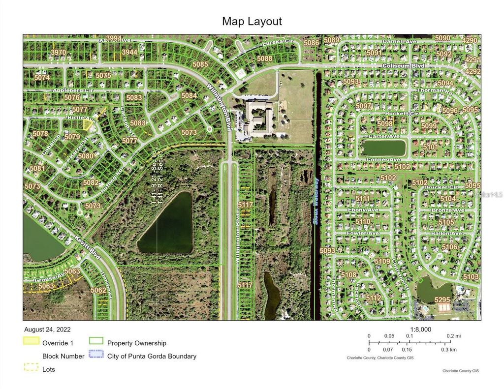 Photo of 12447 Birtle Avenue, Port Charlotte, FL 33981 (MLS # TB8424807)