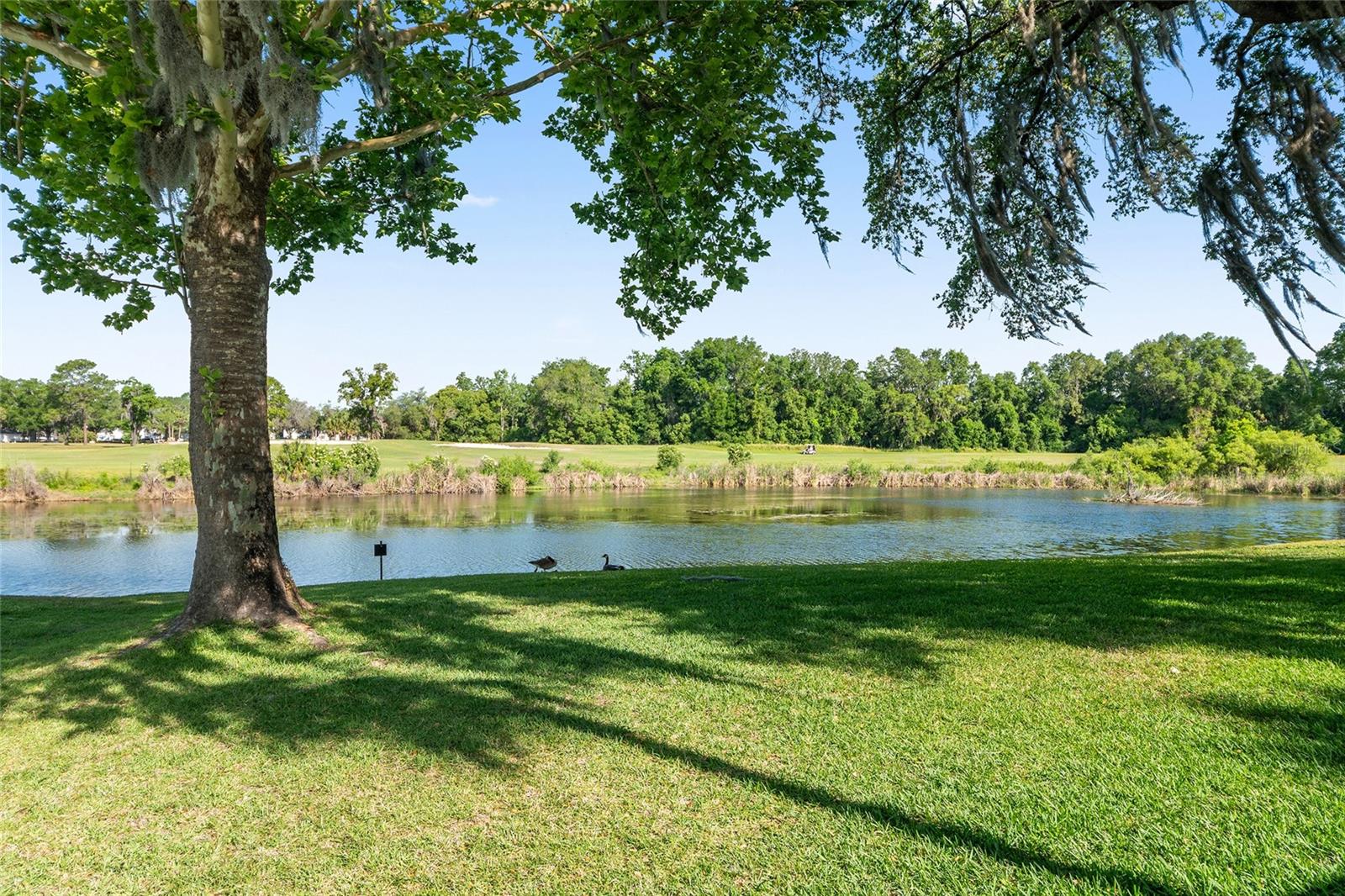LIVE OAK VLG - Residential