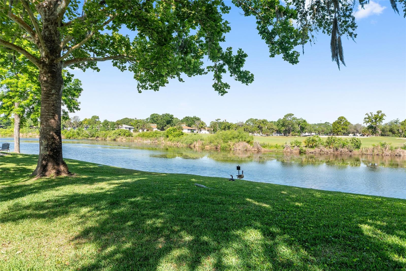 LIVE OAK VLG - Residential