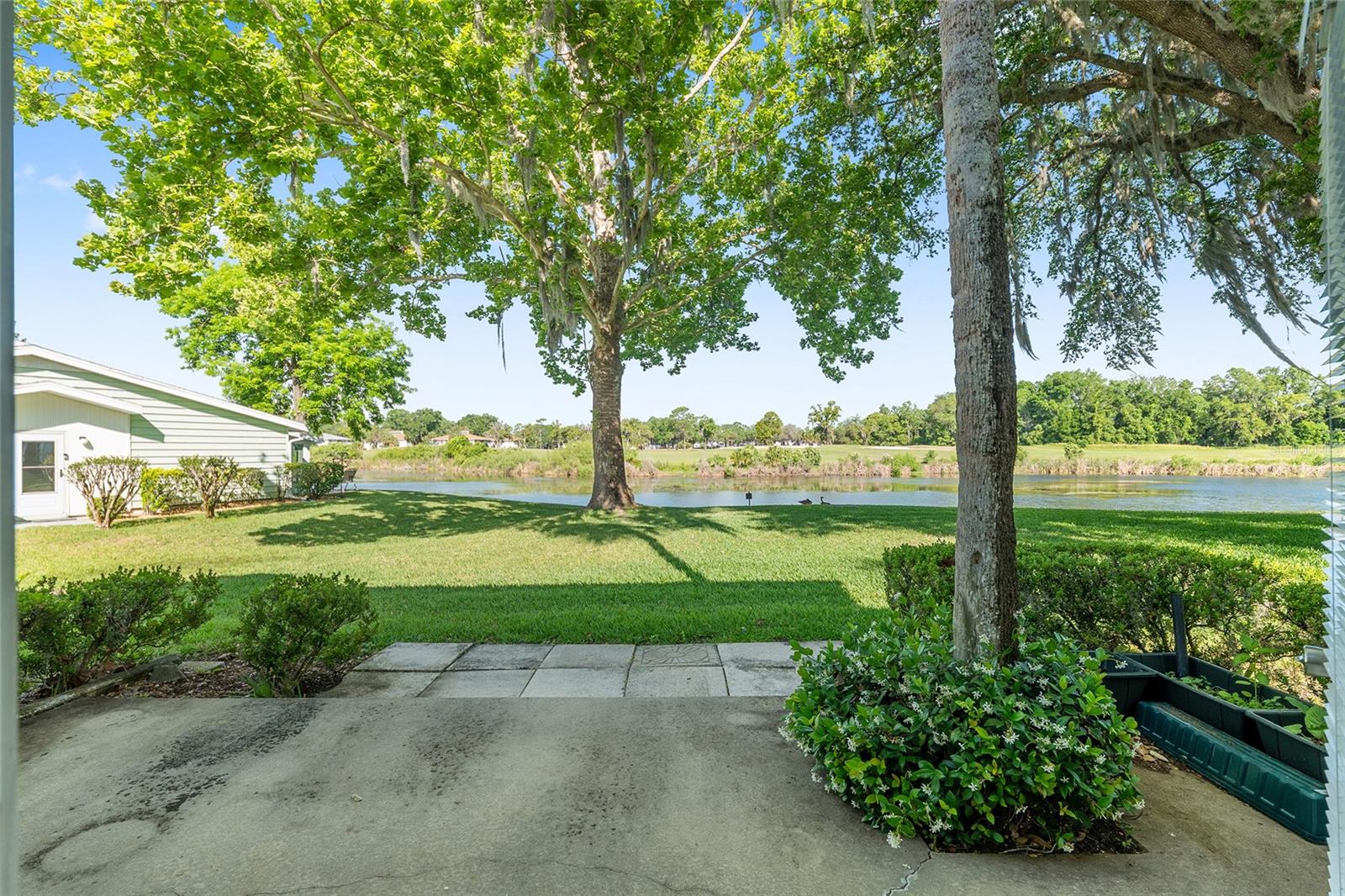 LIVE OAK VLG - Residential