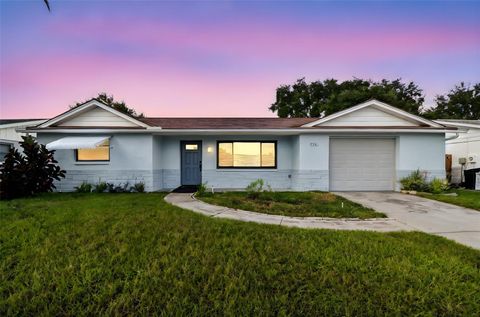Photo of 7331 Sandalwood Drive, Port Richey, FL 34668 (MLS # TB8435797)