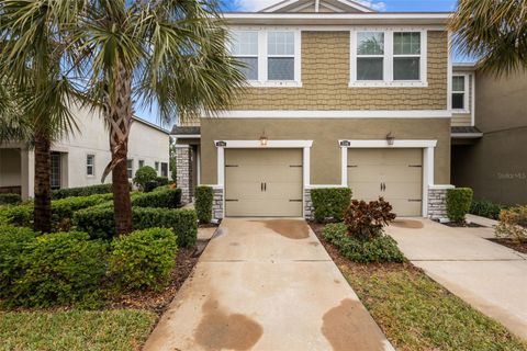 A home in RIVERVIEW