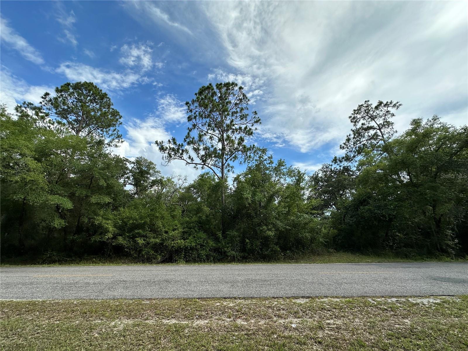 6.05 Acres with paved road access on NE 220 Street just minutes outside of Fort McCoy. This A-1(Agricultural) property is treed and ready for new homesite. Portion of the property is in 100 year flood zone. This acreage is close to many lakesDowntown Fort McCoy with a grocery store, doctor's office, pharmacy, hardware, gas station, pizza, and more. Short drive to Silver Springs which includes Walmart, Lowes, Bealls, Outback and many more of your favorite shopping spots and restaurants. Ocala is only another 10 minutes from Silver Springs with vibrant night life and lots of entertainment options and restaurants. Gainesville(Home of Florida Gators) is only 50 minutes to downtown. If you’re a fisherman, or hunter or simply love hiking, canoeing or kayaking you are in luck! Minutes to Ocklawaha River, Ocala National Forest, and many natural springs(Salt Springs, Silver Glen Springs, Juniper Springs), horseback and walking trails, and off-road vehicle trails await your explorations. One-of-a-kind property and location! Ready for new owners!