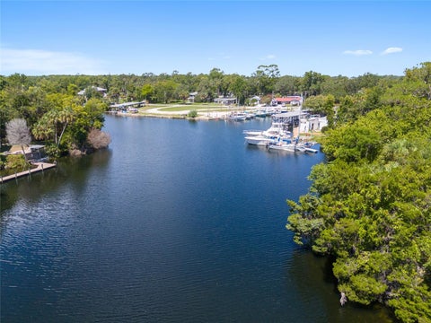Tiny photo for 0 Hickory Avenue, Yankeetown, FL 34498 (MLS # OM682619)