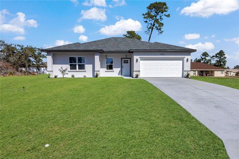 Photo of 16573 SW 30th Avenue Road, Ocala, FL 34473 (MLS # O6380630)
