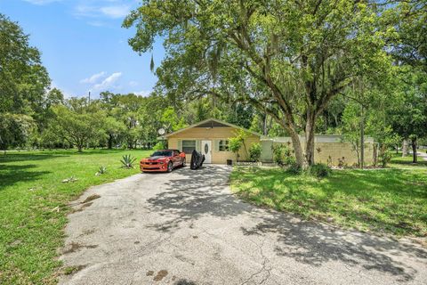 A home in LUTZ