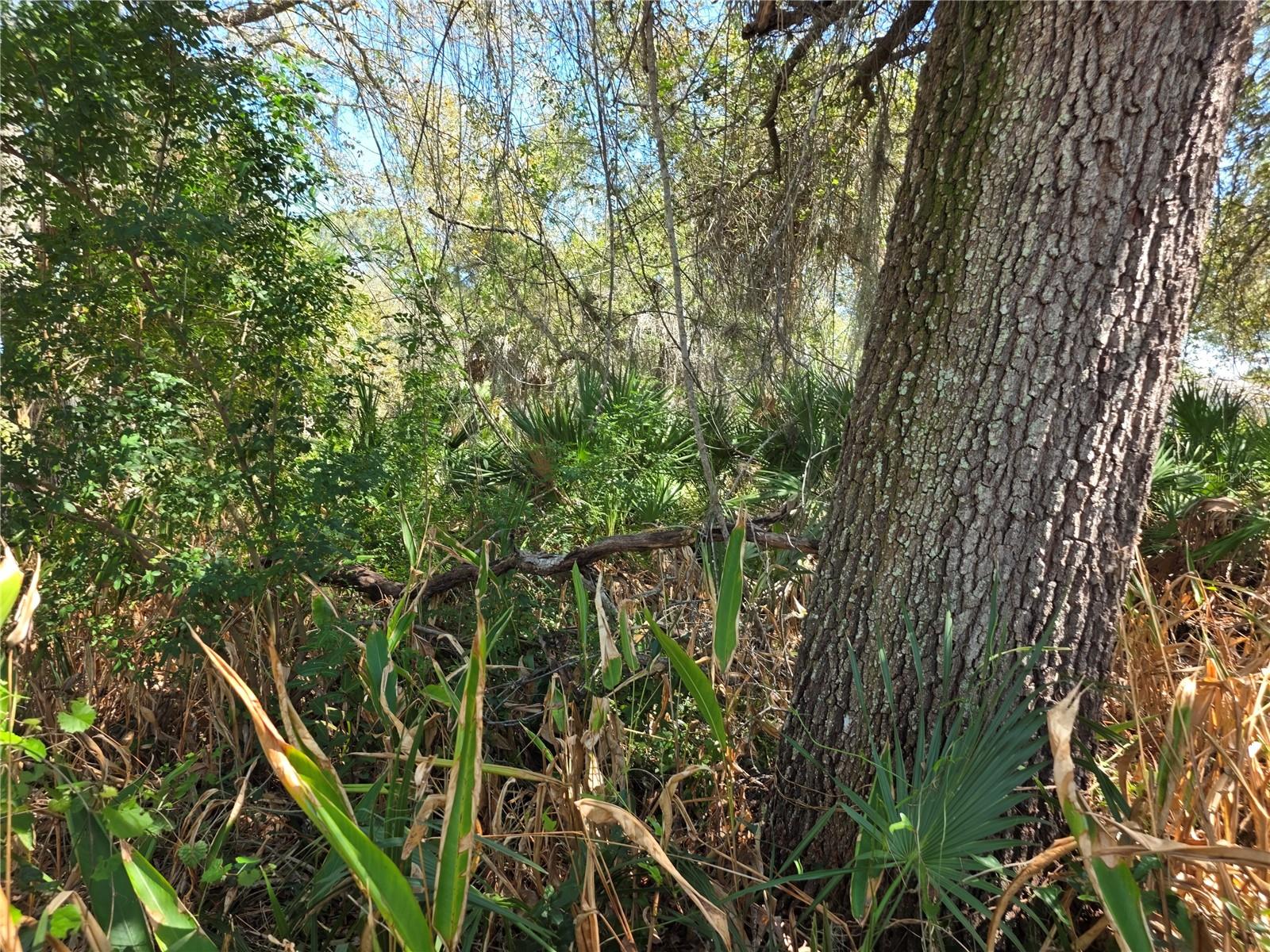 PORT CHARLOTTE SEC 008 - Land