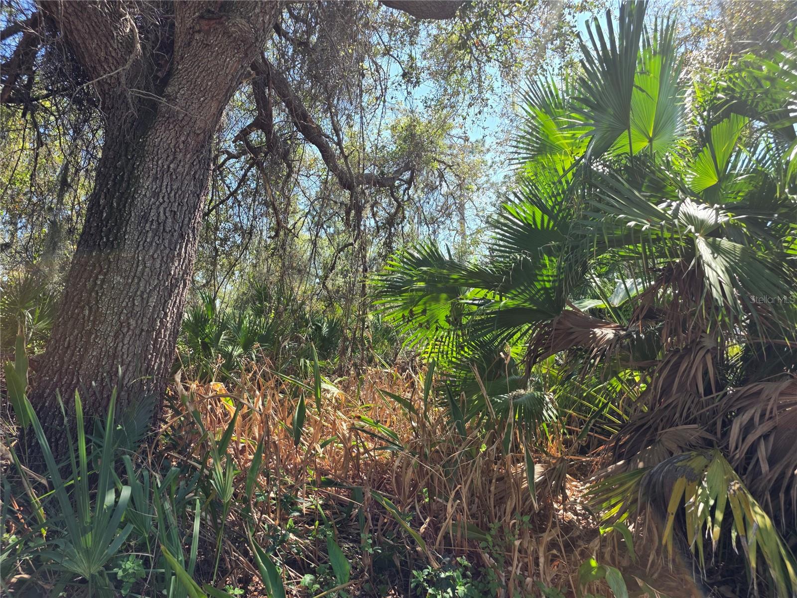 PORT CHARLOTTE SEC 008 - Land