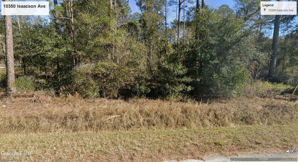 Photo of 10350 Isaacson Avenue, Hastings, FL 32145 (MLS # FC313799)