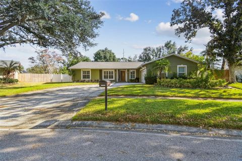 Photo of 4161 Rolling Springs Drive, Tampa, FL 33624 (MLS # TB8444488)