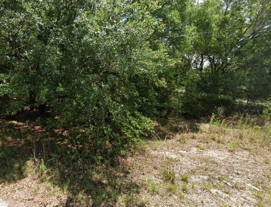 Discover a unique opportunity to own a versatile piece of land in the heart of Ocala County! Located within the scenic and rapidly growing region of Central Florida, this parcel offers an ideal setting for residential development, agricultural use, or long-term investment. Spanning over 8,000 sqr ft, the property offers a blank canvas for a variety of visions — from building a custom home or retreat to establishing a small farm or ranch. This parcel sits within easy reach of downtown Ocala and major highways, providing convenient access to shopping, dining, healthcare, and other essential services. Nature lovers and equestrian enthusiasts will appreciate the proximity to Ocala National Forest, Silver Springs State Park, and Florida Horse Park. Often referred to as the “Horse Capital of the World,” Ocala is known for its vibrant equestrian community and thriving rural charm. Whether you’re looking to build now or hold as a long-term asset, this property’s location and potential make it a standout opportunity. Electricity and water are available nearby, simplifying the process of development or future improvements. With Ocala’s continued growth and increasing demand for land, this parcel presents strong investment potential in a market where the median listing home price is around $300,000 and properties typically move within 60 days. Seize this rare chance to own a slice of Florida paradise—quiet, spacious, and full of opportunity.