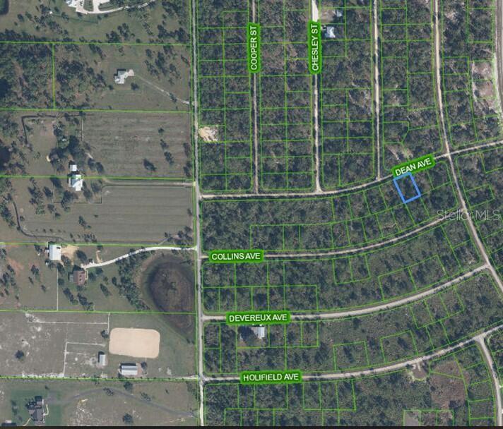Build your Dream Home near beautiful Lake June located in Lake Placid, FL. With its generous size, this property offers a fantastic opportunity to build your dream home or invest in future development. Situated in a serene environment, you'll enjoy the natural beauty and tranquility of the area. Conveniently located with easy access to local amenities and attractions, this land is ready for your vision to come to life. Don't miss out on the endless possibilities this property has to accord! Property being sold AS IS.