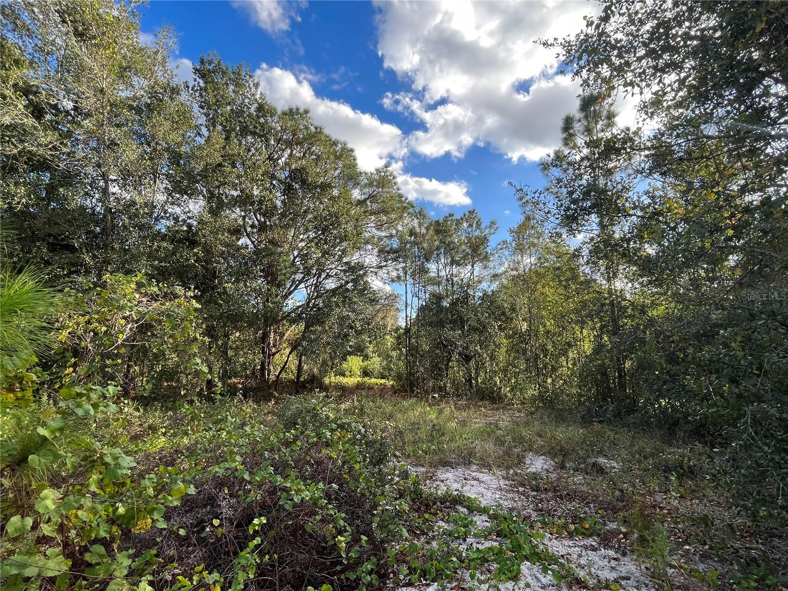 WALK IN WATER LAKE ESTATES PH 01 - Land