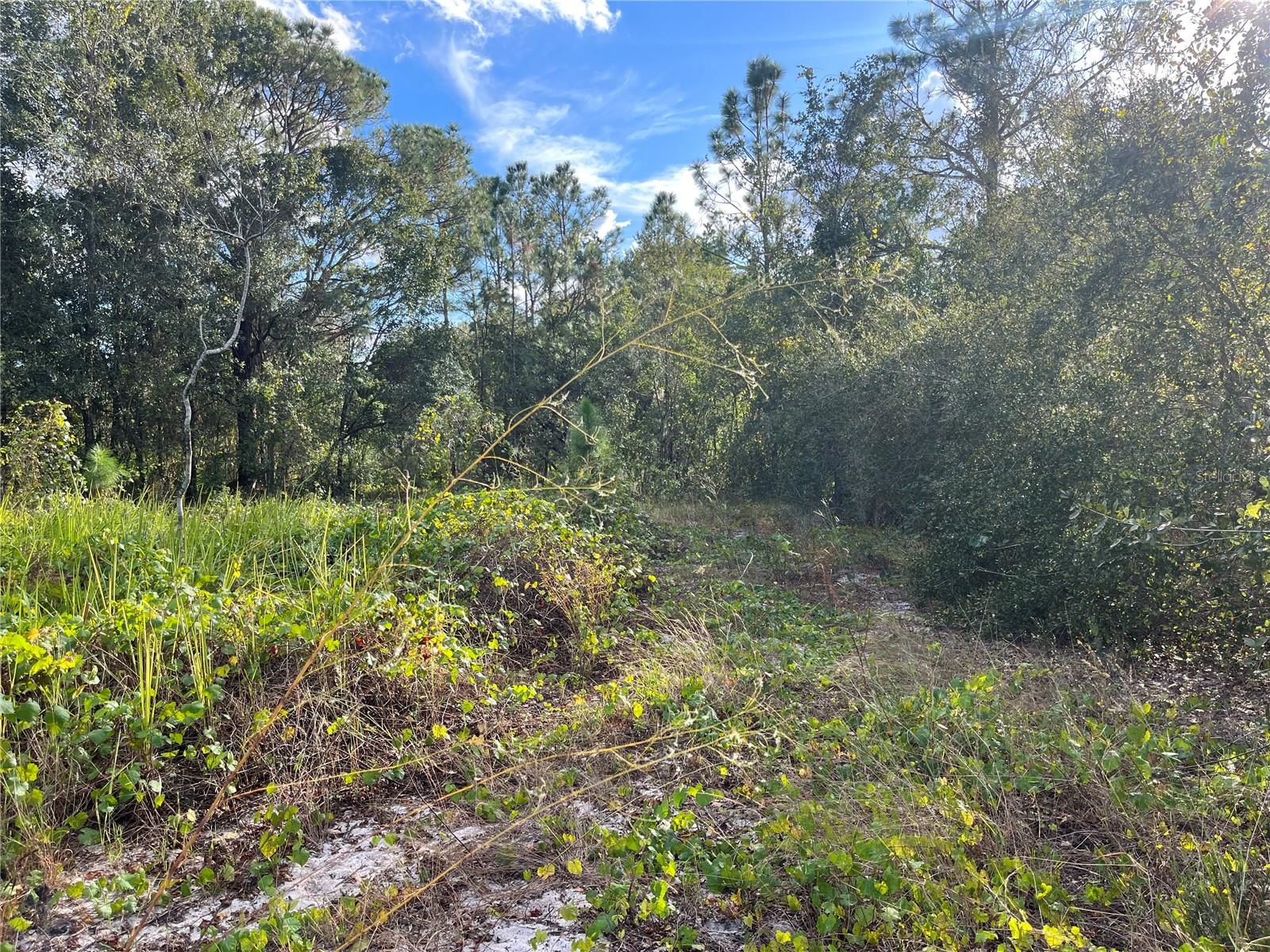 WALK IN WATER LAKE ESTATES PH 01 - Land