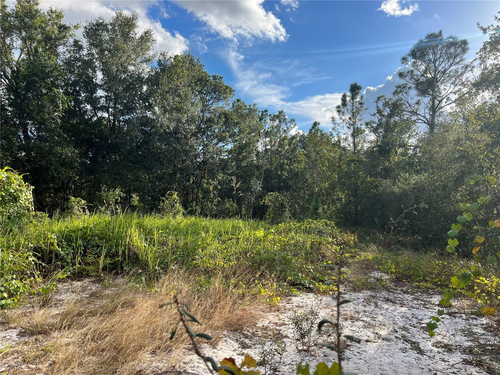 WALK IN WATER LAKE ESTATES PH 01 - Land
