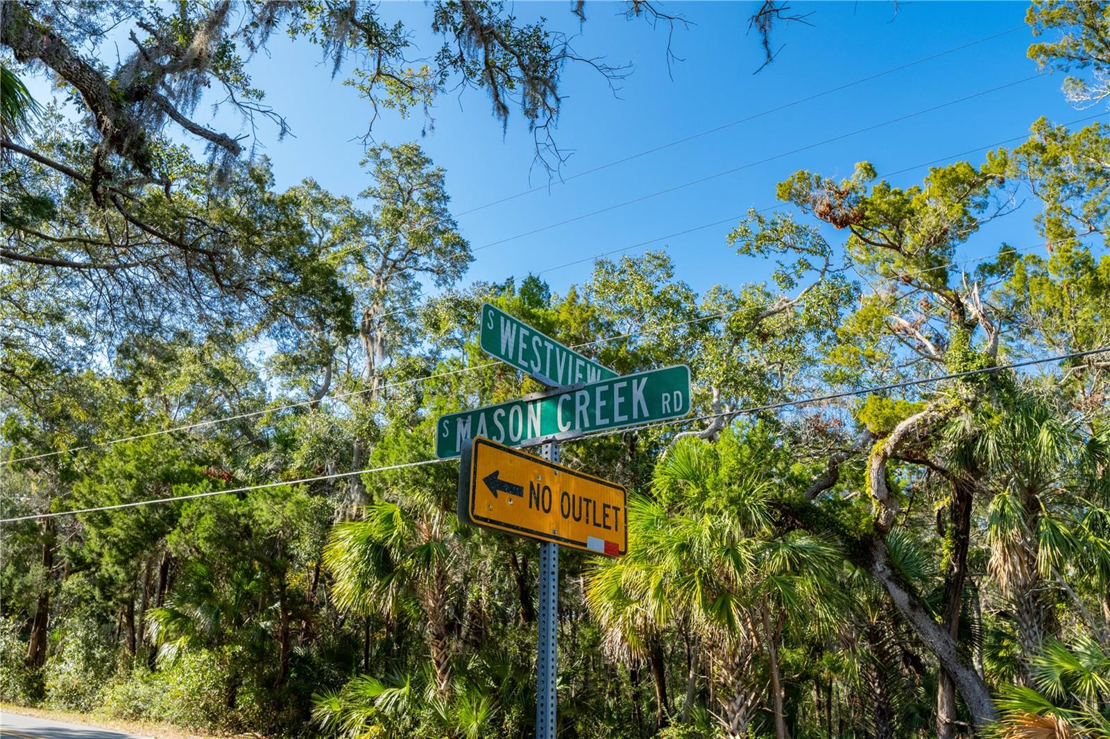 HOMOSASSA RETREATS UN #3 - Land