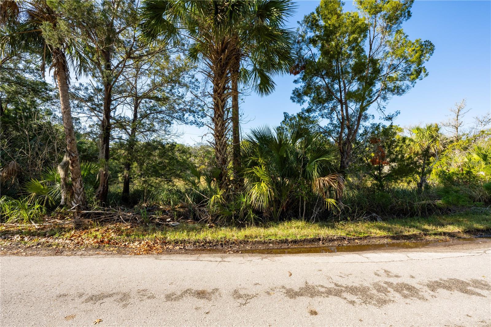 HOMOSASSA RETREATS UN #3 - Land