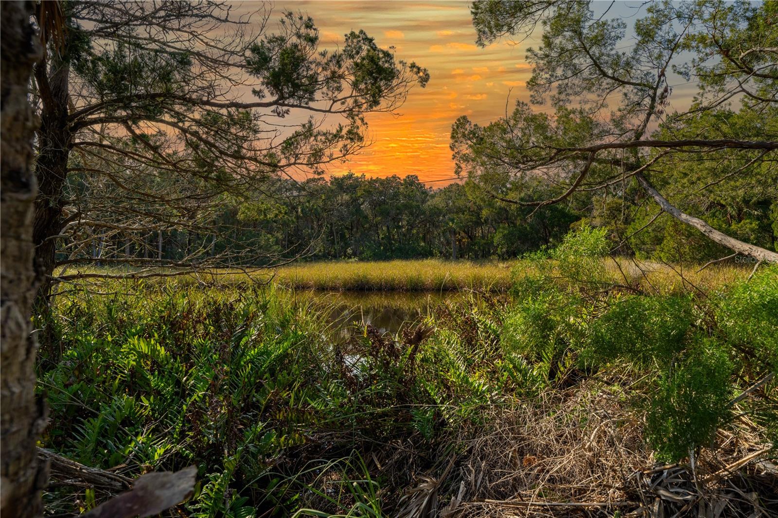 HOMOSASSA RETREATS UN #3 - Land